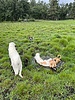 photo thumbnail #10