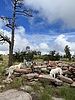 photo thumbnail #6