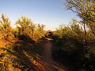 photo thumbnail #3