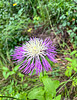 photo thumbnail #14