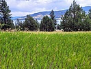 photo thumbnail #11