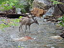 photo thumbnail #9
