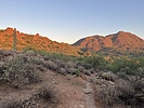 photo thumbnail #6