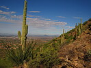 photo thumbnail #10