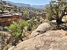 photo thumbnail #15