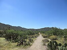photo thumbnail #2