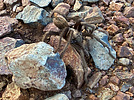 photo thumbnail #3
