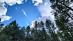 photo thumbnail #15