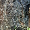 photo thumbnail #12