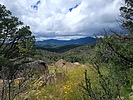 photo thumbnail #7