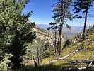 photo thumbnail #7