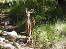 photo thumbnail #11