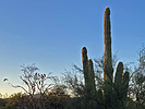 photo thumbnail #3