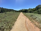 photo thumbnail #6