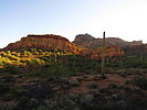 photo thumbnail #6