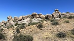 photo thumbnail #4