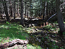 photo thumbnail #8