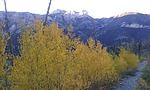 photo thumbnail #14