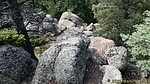 photo thumbnail #1