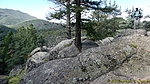 photo thumbnail #3