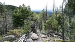 photo thumbnail #8