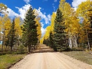 photo thumbnail #8