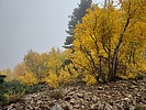 photo thumbnail #12