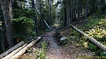 photo thumbnail #1