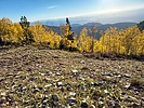 photo thumbnail #7