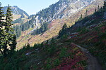 photo thumbnail #5