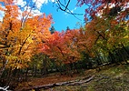photo thumbnail #14