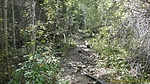 photo thumbnail #13