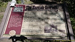 photo thumbnail #14