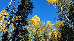 photo thumbnail #2