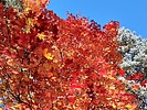 photo thumbnail #4