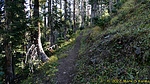 photo thumbnail #11