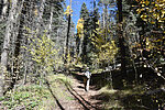 photo thumbnail #3