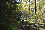 photo thumbnail #11