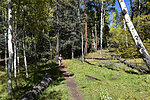photo thumbnail #8