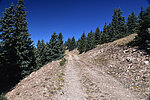 photo thumbnail #14