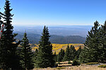 photo thumbnail #15