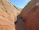 photo thumbnail #8
