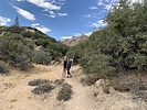 photo thumbnail #8