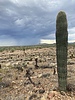 photo thumbnail #2