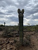 photo thumbnail #5