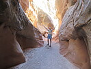 photo thumbnail #9