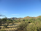 photo thumbnail #5