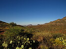photo thumbnail #7