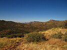 photo thumbnail #10