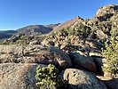 photo thumbnail #11